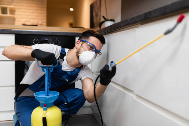 Trusted Cypress Landing, NC Pest Control Experts