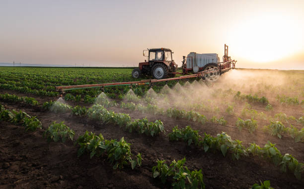 Pest Control Cost in Cypress Landing, NC