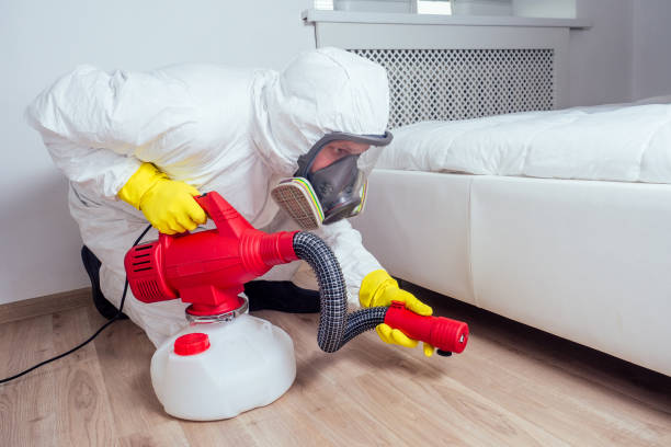 Best Mosquito Control Services  in Cypress Landing, NC