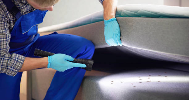 Best Emergency Pest Control  in Cypress Landing, NC