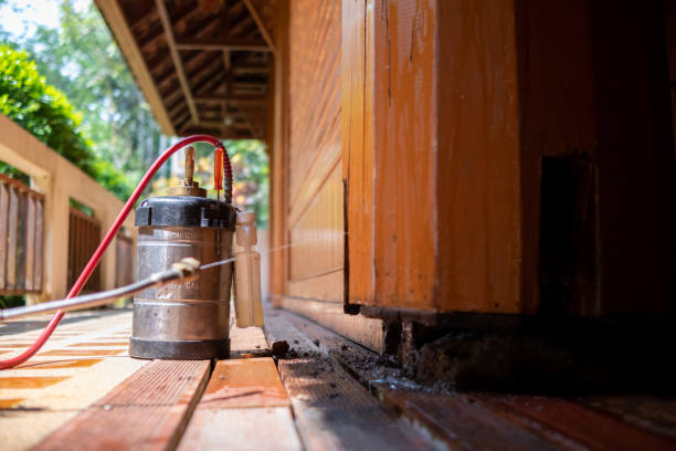 Best Wasp Removal Services  in Cypress Landing, NC