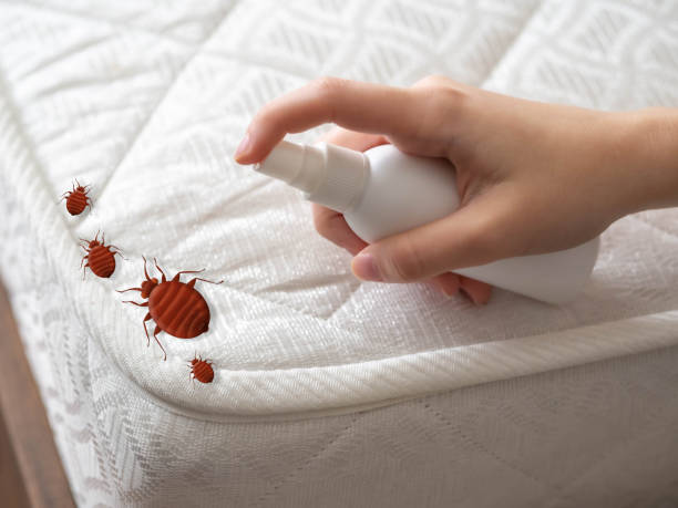 Best Exterminator Services  in Cypress Landing, NC
