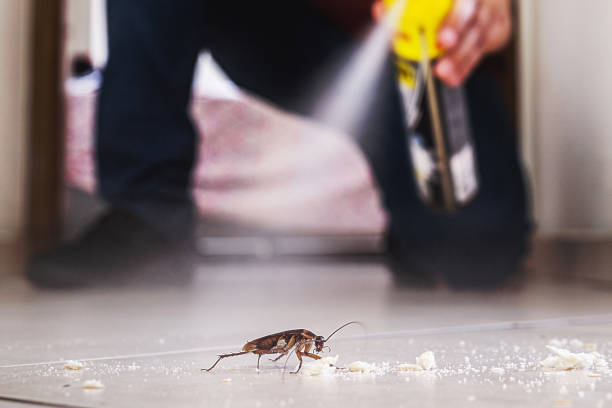 Insect Control in Cypress Landing, NC