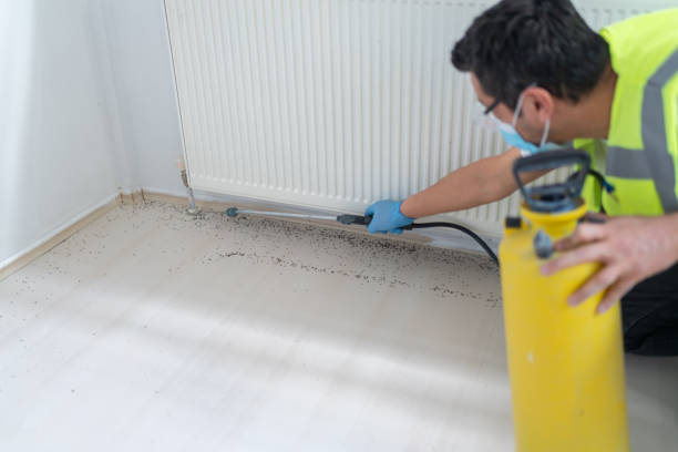 Best Pest Prevention Services  in Cypress Landing, NC